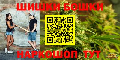 гидропоника Славгород