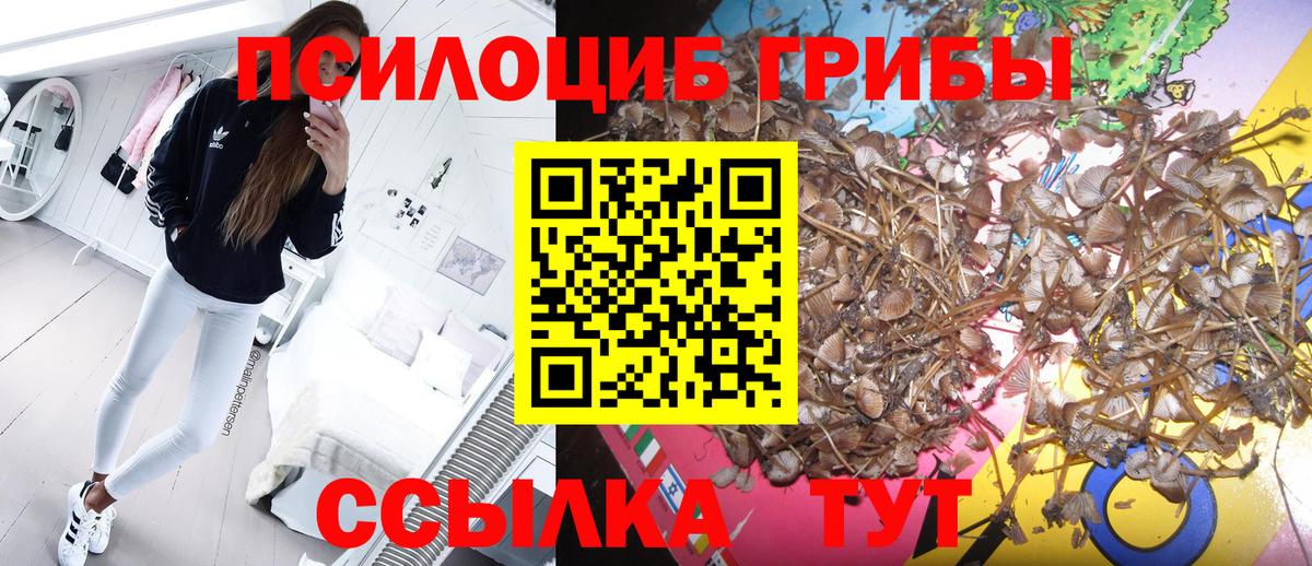 Псилоцибиновые грибы GOLDEN TEACHER Моздок
