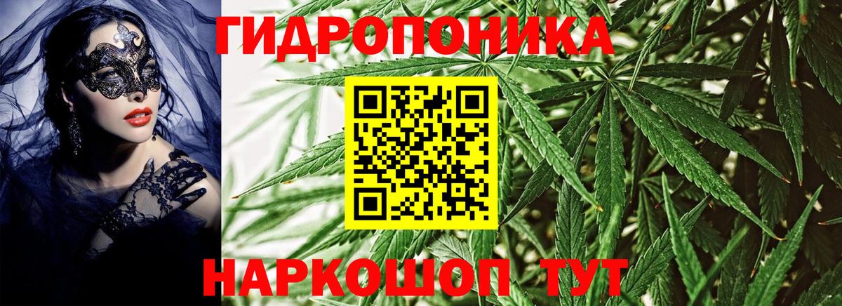 МАРИХУАНА гибрид  Вход с VPN  Бошки Шишки SATIVA & INDICA  Моздок  Шишки марихуана план 